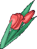 6c533fdf.gif 6c533fdf.gif